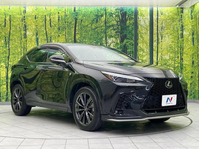 ＮＸ ＮＸ３５０ｈ　Ｆスポーツ　サンルーフ　１４インチディスプレイオーディオ　禁煙車　バックカメラ　ＥＴＣ　Ｂｌｕｅｔｏｏｔｈ　フルセグ　シートベンチレーション　パワーシート　パワーバックドア　ドラレコ　レーダークルーズ（16枚目）