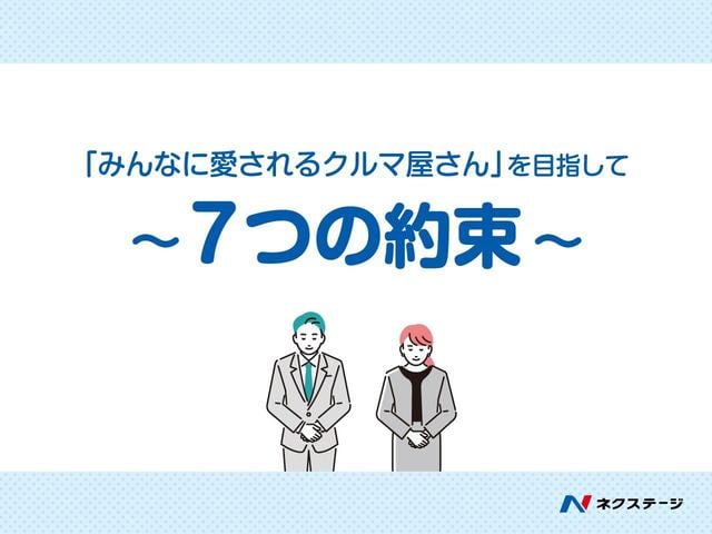 Ｓ－Ｚ　１３．２インチ後席モニター　両側電動スライド　衝突軽減装置　禁煙車　純正１０．５インチナビ　ＥＴＣ２．０　Ｂｌｕｅｔｏｏｔｈ　フルセグ　前席中列シートヒーター　ハーフレザーシート　パワーバックドア（画像65）
