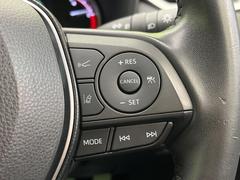 �ڥ졼�������롼������ȥ�����۹�®ƻϩ�Ǥ�Ĺ��Υ���Ԥ��ڤˡ�����ư��®�٤��ݤĥ��롼������ȥ����뤬�����ͷڸ������ƥ��Ϣ�Ȥ��������μ�ξ���Τ��Ƽִ֤��ݤĤ褦��®��Ĵ�ᤷ�Ƥ���ޤ����� 6