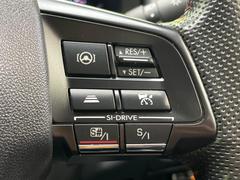 ������®�ɽ���ǽ�ե��롼������ȥ�����۹�®ƻϩ�Ǥ�Ĺ��Υ���Ԥ��ڤˡ�����ư��®�٤��ݤĥ��롼������ȥ����뤬�����ͷڸ������ƥ��Ϣ�Ȥ��������μ�ξ���Τ��Ƽִ֤��ݤĤ褦��®��Ĵ�ᤷ�Ƥ���ޤ����� 4