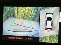 �ڥѥΥ�ߥå��ӥ塼��˥��������ѤΥ����ˤ�ꡢ�夫�鸫���������褦�ʻ����ǣ������٥���ޤμ��Ϥ��ǧ���뤳�Ȥ��Ǥ��ޤ��������ʬ���ǧ���䤹�����������Ǥ��ڤ��֤�����֤⥹�ࡼ���˹Ԥ��ޤ��� 5