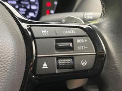 �ڥ����ץƥ��֥��롼������ȥ�����۹�®ƻϩ�Ǥ�Ĺ��Υ���Ԥ��ڤˡ�����ư��®�٤��ݤĥ��롼������ȥ����뤬�����ͷڸ������ƥ��Ϣ�Ȥ��������μ�ξ���Τ��Ƽִ֤��ݤĤ褦��®��Ĵ�ᤷ�Ƥ���ޤ����� 5