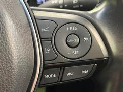 �ڥ졼�������롼������ȥ�����۹�®ƻϩ�Ǥ�Ĺ��Υ���Ԥ��ڤˡ�����ư��®�٤��ݤĥ��롼������ȥ����뤬�����ͷڸ������ƥ��Ϣ�Ȥ��������μ�ξ���Τ��Ƽִ֤��ݤĤ褦��®��Ĵ�ᤷ�Ƥ���ޤ����� 6