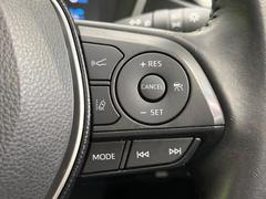 �ڥȥ西�����եƥ����󥹡�������������μ�ξ����ǧ���������ͤ������ʻ��Ϸ���ȥ֥졼���Ǿ��Ͳ�����ﳲ�ڸ��򥢥����ȡ��������˥ɥ饤�֤򤪳ڤ��ߤ��������ޤ��� 6