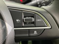 �ڥ����ץƥ��֥��롼������ȥ�����۹�®ƻϩ�Ǥ�Ĺ��Υ���Ԥ��ڤˡ�����ư��®�٤��ݤĥ��롼������ȥ����뤬�����ͷڸ������ƥ��Ϣ�Ȥ��������μ�ξ���Τ��Ƽִ֤��ݤĤ褦��®��Ĵ�ᤷ�Ƥ���ޤ����� 5