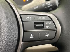 �ڥ����ץƥ��֥��롼������ȥ�����۹�®ƻϩ�Ǥ�Ĺ��Υ���Ԥ��ڤˡ�����ư��®�٤��ݤĥ��롼������ȥ����뤬�����ͷڸ������ƥ��Ϣ�Ȥ��������μ�ξ���Τ��Ƽִ֤��ݤĤ褦��®��Ĵ�ᤷ�Ƥ���ޤ����� 5