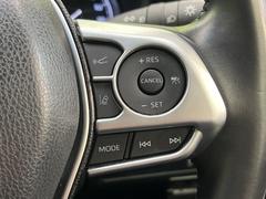 �ڥ졼�������롼������ȥ�����۹�®ƻϩ�Ǥ�Ĺ��Υ���Ԥ��ڤˡ�����ư��®�٤��ݤĥ��롼������ȥ����뤬�����ͷڸ������ƥ��Ϣ�Ȥ��������μ�ξ���Τ��Ƽִ֤��ݤĤ褦��®��Ĵ�ᤷ�Ƥ���ޤ����� 6