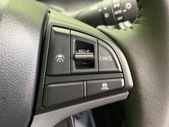 �ڥ����ץƥ��֥��롼������ȥ�����۹�®ƻϩ�Ǥ�Ĺ��Υ���Ԥ��ڤˡ�����ư��®�٤��ݤĥ��롼������ȥ����뤬�����ͷڸ������ƥ��Ϣ�Ȥ��������μ�ξ���Τ��Ƽִ֤��ݤĤ褦��®��Ĵ�ᤷ�Ƥ���ޤ����� 7