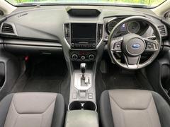 ���롼�����߸˿��󣳣����������桪������η���Ź����᡼�������ּ���鷺���Ҳ�����Τǡ����ʤ��˥ԥå���Τ��֤����Ĥ���Ϥ��Ǥ����ޤ��Ϥ��䤤��碌�������� 2