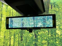 �ڥ���ƥꥸ����ȥ롼��ߥ顼�۸��ʤ��礭�ʲ�ʪ��Ʊ��ԤǸ�������ǧ���Ť餤���Ǥ�¿�������餬���Ƥ�����ξ�����α�����롼��ߥ顼���ɽ�������ꥢ�ʻ볦�Ǿ����γ�ǧ����ǽ�Ǥ��� 7