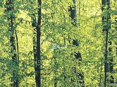 �ڥإåɥ��åץǥ����ץ쥤�۸��ߤ�®�٤����Ծ����ǥ�����ɽ���Ǳ�ž�������Υ��饹����ơ���ž�桢�����򤺤餵��ɬ�פʾ�����ǧ�Ǥ���ΤǤȤäƤ������ǰ¿��� 7