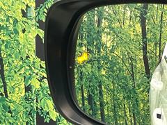 �ڥ֥饤��ɥ��ݥåȥ�˥����������桢�ɥ��ߥ顼�λ�Ѥˤʤ�䤹���ս�˸�³�֤��᤹ܶ��ȥ����ɥߥ顼�Υ�󥺤˷ٹ��ɽ�����ɥ饤�С������մ����򤷤Ƥ���ޤ��� 7