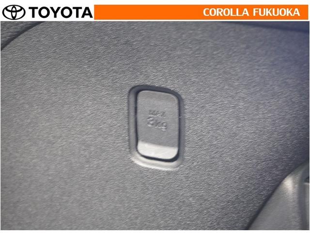 シエンタ ハイブリッドＺ　衝突被害軽減システム　両側電動スライド　メモリーナビ　フルセグ　ＥＴＣ　バックカメラ　ドラレコ　キーレス　スマートキー　盗難防止装置（32枚目）