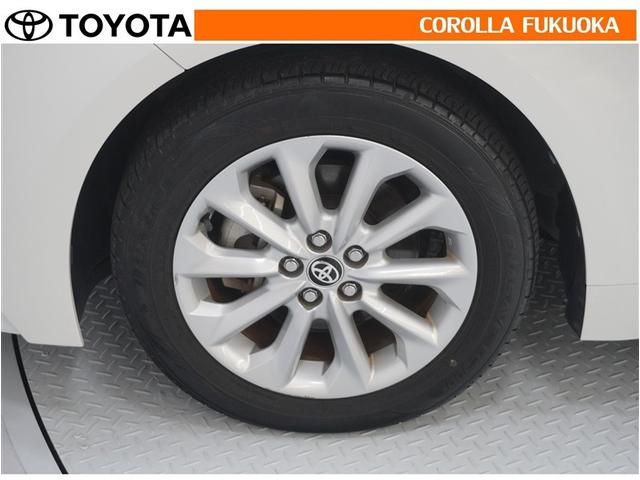 �y���ȑ��������o����A���~�z�C�[���A�P�Ȃ�h���X�A�b�v�ł͂Ȃ������ƌy�ʉ��Ń��������N��̋C�����������܂��B