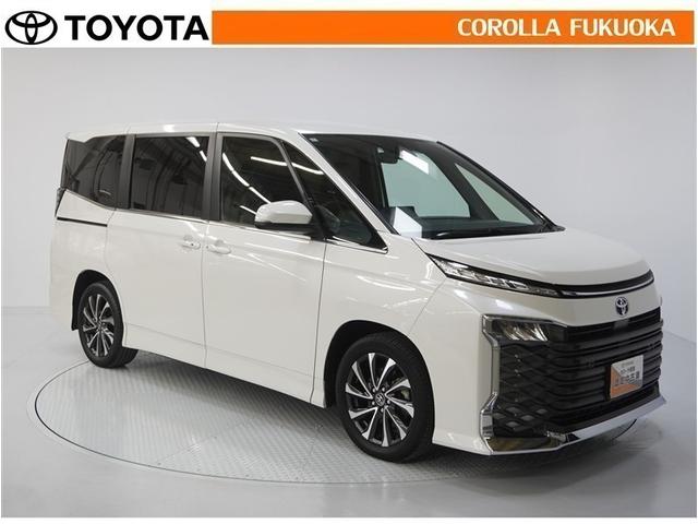 ������������S�I�����̓J���[�������T�[�r�X�F�؍H��ɂ��C�����������B