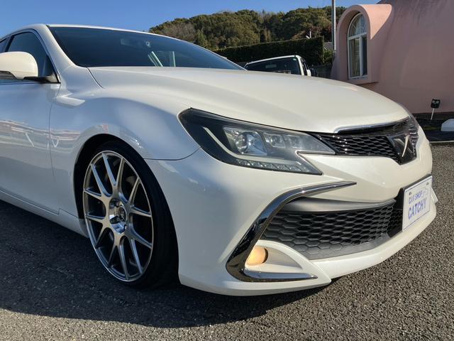 ����]����΃t�����g�X�|�C���[�̎�t���n�j�ł��I