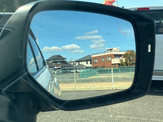 �I�v�V�����̃��A�r�[�N���f�B�e�N�V�����i�u���C���h�X�|�b�g���j�^�[�j�t��