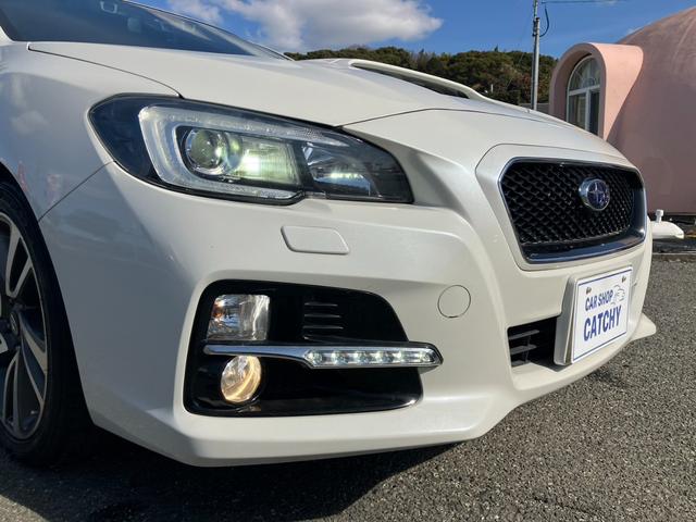 �I�v�V�����̂k�d�c���C�i�[�t��