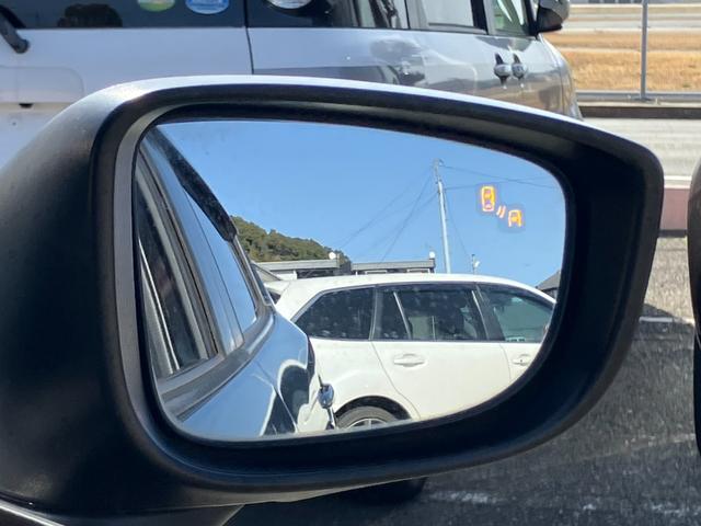 �I�v�V�����̃u���C���h�X�|�b�g���j�^�[�ł��B