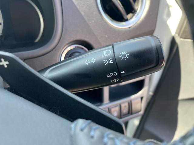 �I�[�g���C�g�@�\