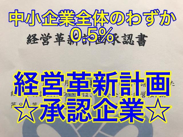 Z 煌 両側Pスラ フリップダウン HDDナビ アルミ(6枚目)