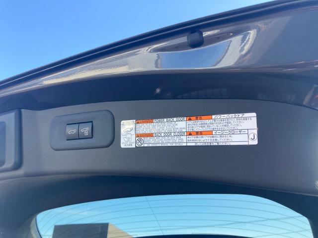 ＮＸ ＮＸ３５０ｈ　Ｆスポーツ　ドライブレコーダー　全周囲カメラ　クリアランスソナー　オートクルーズコントロール　レーンアシスト　デジタルインナーミラー　衝突被害軽減システム　サンルーフ　１４インチナビＴＶ　ＴＶキャンセラー（33枚目）