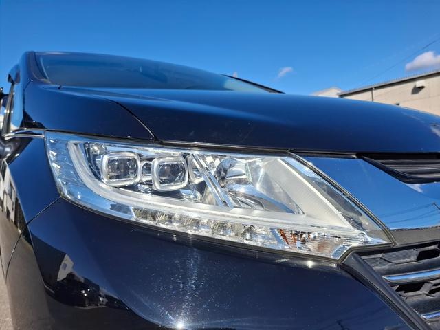 ���������܂��Đ��ɗL��������܂��I�I���񂲗��X���Ē����A���ۂɂ����ɂȂ��Ē�����΂Ǝv���܂��B���q�l����̂��A�����X�^�b�t�ꓯ�A�S��肨�҂����Ă���܂�