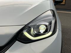 �ե��å� �ۡ��ࡡ�����ȣ̣ţĥإåɥ饤�ȡ��ʥӡ���󥻥��ԣ֡��£����������� 0804377A30260120W002 4