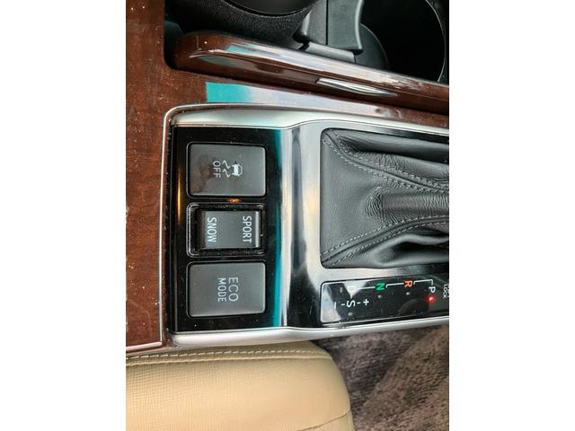 マークX プレミアム TV&ナビ シートヒーター バックカメラ キーレスエントリー プッシュスタート Bluetooth オートクルーズコントロール エアバック パワーウィンドウ オートライト(29枚目)