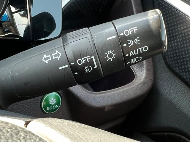 �I�[�g���C�g