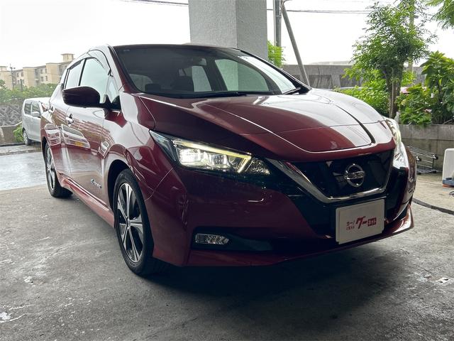 リーフ Ｘ　１０万台記念車　ＥＴＣ　バックカメラ　ナビ　ＴＶ　クリアランスソナー　オートクルーズコントロール　衝突被害軽減システム　アルミホイール　オートライト　ＬＥＤヘッドランプ　スマートキー　電動格納ミラー　シートヒーター（14枚目）