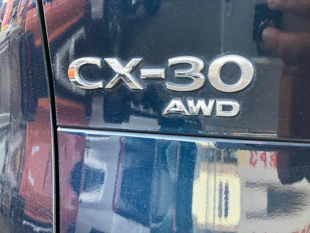 ＣＸ－３０ ２０Ｓ　Ｌパッケージ　クリソナ　クルーズコントロール　ナビＴＶ　Ｄレコ　横滑り防止装置　ＬＥＤヘッドライト　ＥＴＣ　ＡＷ　ミュージックプレイヤー接続可　エアバッグ　キーレス　３６０ビューモニター（21枚目）