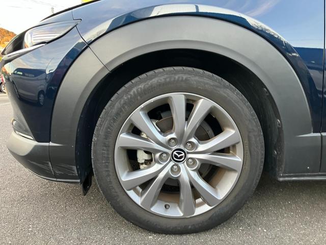 ＣＸ－３０ ２０Ｓ　Ｌパッケージ　クリソナ　クルーズコントロール　ナビＴＶ　Ｄレコ　横滑り防止装置　ＬＥＤヘッドライト　ＥＴＣ　ＡＷ　ミュージックプレイヤー接続可　エアバッグ　キーレス　３６０ビューモニター（31枚目）