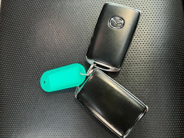 ＣＸ－３０ ２０Ｓ　Ｌパッケージ　クリソナ　クルーズコントロール　ナビＴＶ　Ｄレコ　横滑り防止装置　ＬＥＤヘッドライト　ＥＴＣ　ＡＷ　ミュージックプレイヤー接続可　エアバッグ　キーレス　３６０ビューモニター（52枚目）