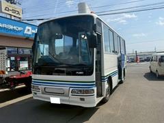 �������꡼�˥󥰺ѡ����֤��ˤ��ߤʤ��Ȥ��������ͤ˴���ĺ�����ͤ˻ž夲��ԤʤäƤ���ޤ��� 2