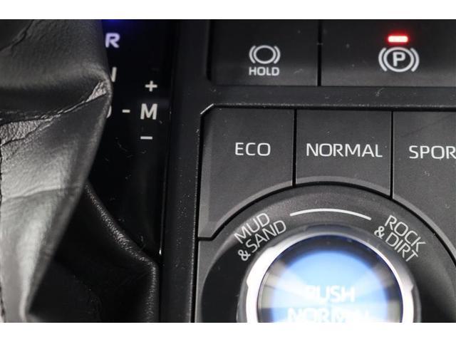 ＲＡＶ４ アドベンチャー　オフロードパッケージ　１年保証　ワンオーナー　４ＷＤ　Ｄミラー　　フルセグ　メモリーナビ　ミュージックプレイヤー接続可　シートクーラ　全周囲カメラ　バックカメラ　衝突被害軽減システム　ＥＴＣ　ドラレコ　ＬＥＤヘッドランプ（28枚目）