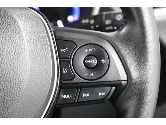 ���肽���X�s�[�h�ŃZ�b�g����Έ�葬�x�ő��s���o����N���[�Y�R���g���[���t���I�������H�ł̃h���C�u�����K�ɂȂ�܂��ˁ�