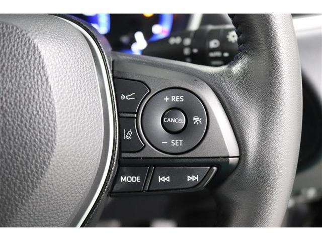 ���肽���X�s�[�h�ŃZ�b�g����Έ�葬�x�ő��s���o����N���[�Y�R���g���[���t���I�������H�ł̃h���C�u�����K�ɂȂ�܂��ˁ�