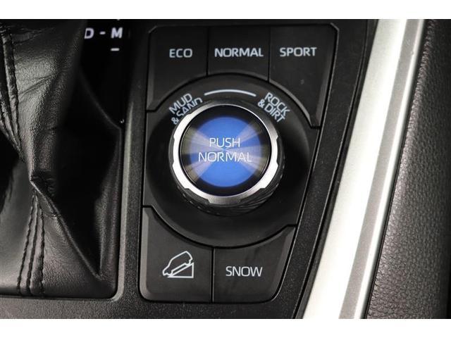 ＲＡＶ４ アドベンチャー　１年保証　ワンオーナー　シートエアコン　４ＷＤ　フルセグ　メモリーナビ　ミュージックプレイヤー接続可　バックカメラ　衝突被害軽減システム　ＥＴＣ　ＬＥＤヘッドランプ（26枚目）