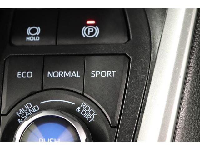 ＲＡＶ４ アドベンチャー　１年保証　ワンオーナー　シートエアコン　４ＷＤ　フルセグ　メモリーナビ　ミュージックプレイヤー接続可　バックカメラ　衝突被害軽減システム　ＥＴＣ　ＬＥＤヘッドランプ（30枚目）