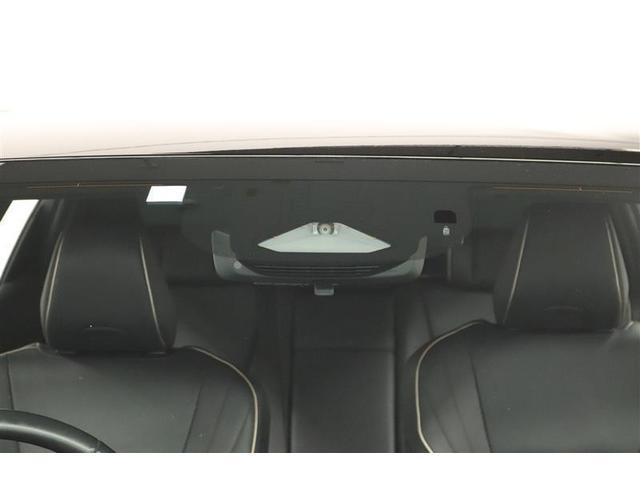 �g���^�Z�[�t�e�B�[�Z���X�t���B������̏Փ˂�����������͔�Q���y���������S���T�|�[�g���܂��I