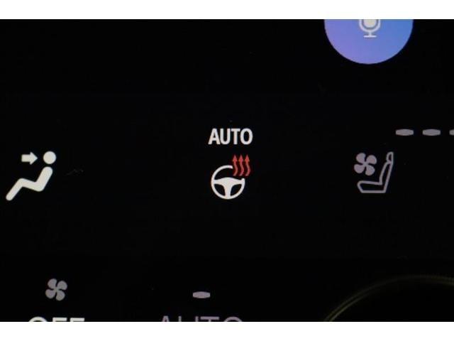 Ｚ　プレミア　１年保証　ワンオーナ－　フルエアロ　Ｄミラー　フルセグ　メモリーナビ　ミュージックプレイヤ接続可　Ｐシート　Ｐリヤゲート　シートクーラ　全周囲カメラ　バックカメラ　衝突被害軽減システム　ＥＴＣ（画像33）
