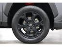 ����ͥ���19