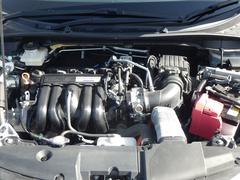 ���쥤�� �ϥ��֥�åɣţء��ۥ�����󥷥󥰡��ե륻���ԣ֡��ҥ���顡��Ͽ�� 0804456A30260109W001 3