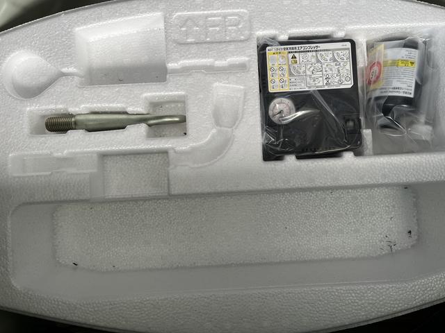 �g�����N���[���ɂ̓p���N�C���L�b�g������܂��B