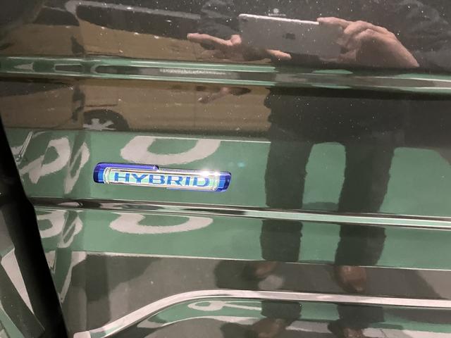 スペーシアカスタム ハイブリッドGS デュアルセンサーブレーキサポート2 マイルドハイブリッド 電動スライド 全方位ナビ CVT オートエアコン キーレススタート オートライト オーディオスイッチ LED ACC 電動パーキング アルミ(58枚目)