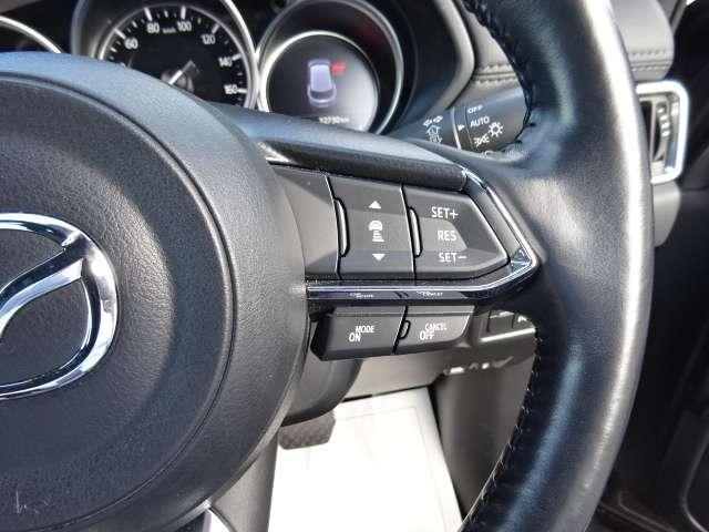 ＣＸ－８ ２．２　ＸＤ　プロアクティブ　ディーゼルターボ　ＥＴＣ・ＴＶ・全方位モニター・ルーフキャリア　アドバンストキー　横滑り防止機能　電動Ｒゲート　クルーズコントロール　地デジ　アイスト　エアコン　パワーシート　シートヒーター　ＴＶ　サイドカメラ　ターボ（21枚目）