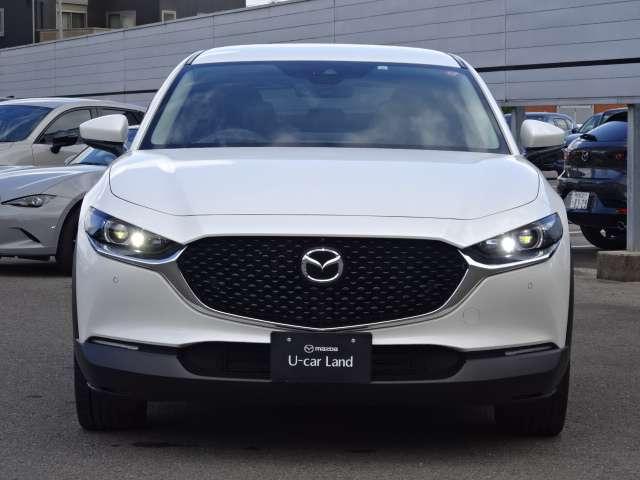 �O�����L���C�ł����ڗ������L�Y�������Ǝv���܂��A�����x���q�l�̌������ڂł��m�F���������I