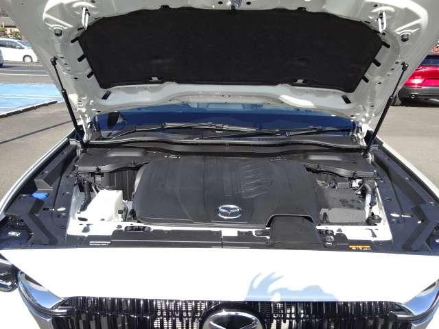 �G���W�����[���̗l�q�ł��B�G���W�����[�����L���C�ł��ƁA�s����̔��������Ղ��A�R���f�B�V�����̃`�F�b�N��ێ��̖ʂłƂ��Ă��v���X�ł��I����ɓ��X�ł������萮�����Ă��[�Ԃ��܂��̂ň��S�ł��I