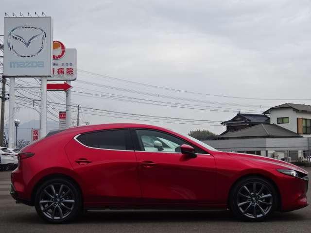 ���T�y�j���E���j���͓W��������{���Ă���܂��B���C�y�ɂ����X���������܂��B